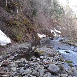 渓流ミノーイング